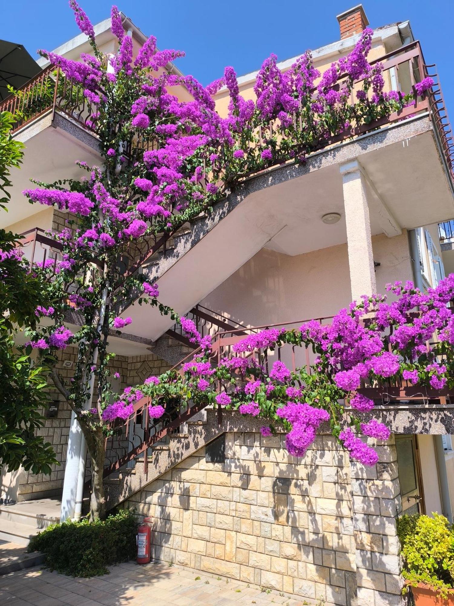 Apartments Lirio أوماغ المظهر الخارجي الصورة