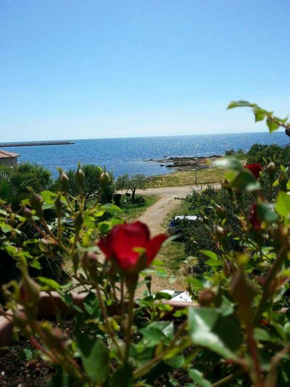 Apartments Lirio أوماغ المظهر الخارجي الصورة